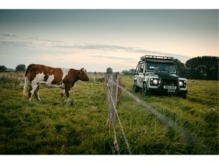 Voertuigafbeelding 47