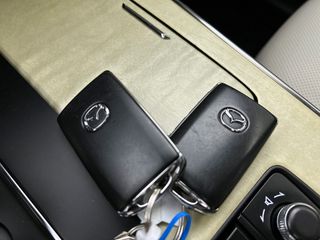 Voertuigafbeelding 29