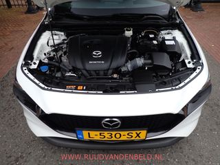 Voertuigafbeelding 29