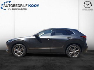 Voertuigafbeelding 12