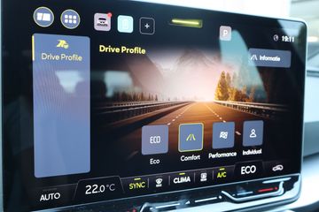 Voertuigafbeelding 17