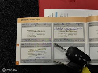 Voertuigafbeelding 16