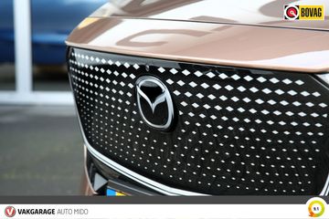 Voertuigafbeelding 34