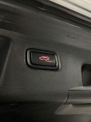 Voertuigafbeelding 41