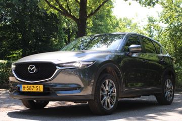 Voertuigafbeelding 12