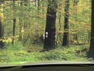 Voertuigafbeelding 12