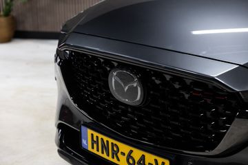 Voertuigafbeelding 29