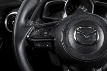 Voertuigafbeelding 33