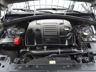 Voertuigafbeelding 31