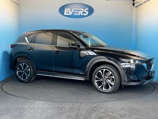 Voertuigafbeelding 17