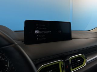 Voertuigafbeelding 33