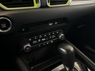 Voertuigafbeelding 39