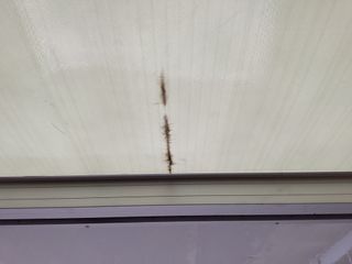 Voertuigafbeelding 54