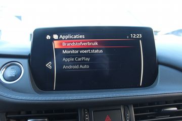 Voertuigafbeelding 16