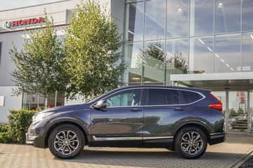 Voertuigafbeelding 51