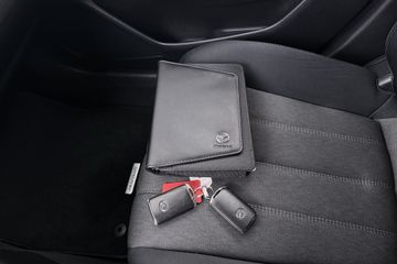 Voertuigafbeelding 31