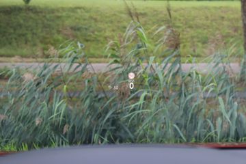 Voertuigafbeelding 25