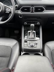 Voertuigafbeelding 13