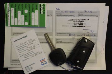 Voertuigafbeelding 11