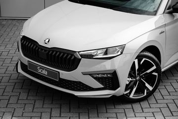 Voertuigafbeelding 13