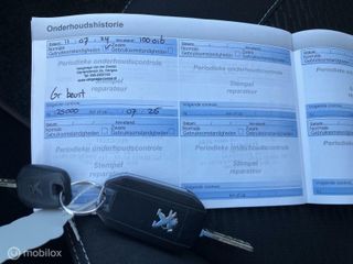 Voertuigafbeelding 18