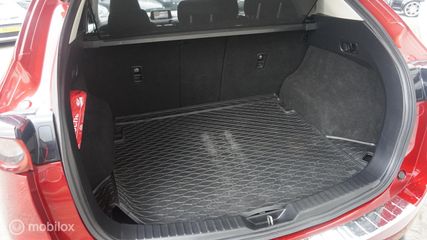 Voertuigafbeelding 13