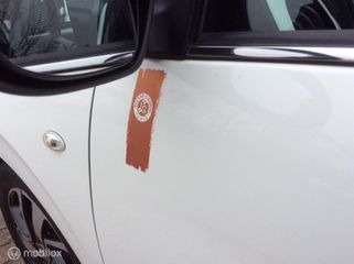 Voertuigafbeelding 11