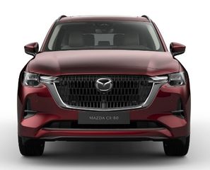 Voertuigafbeelding 7