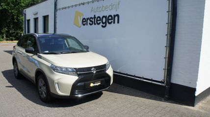 Voertuigafbeelding 13