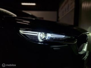 Voertuigafbeelding 10