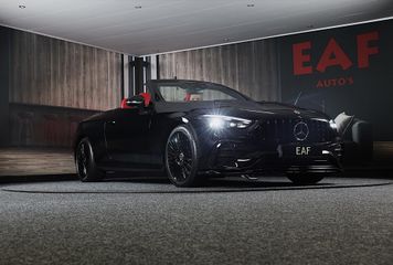 Voertuigafbeelding 42